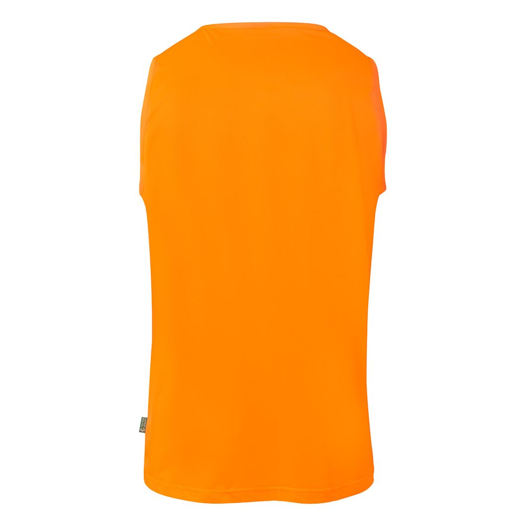 Training BiB