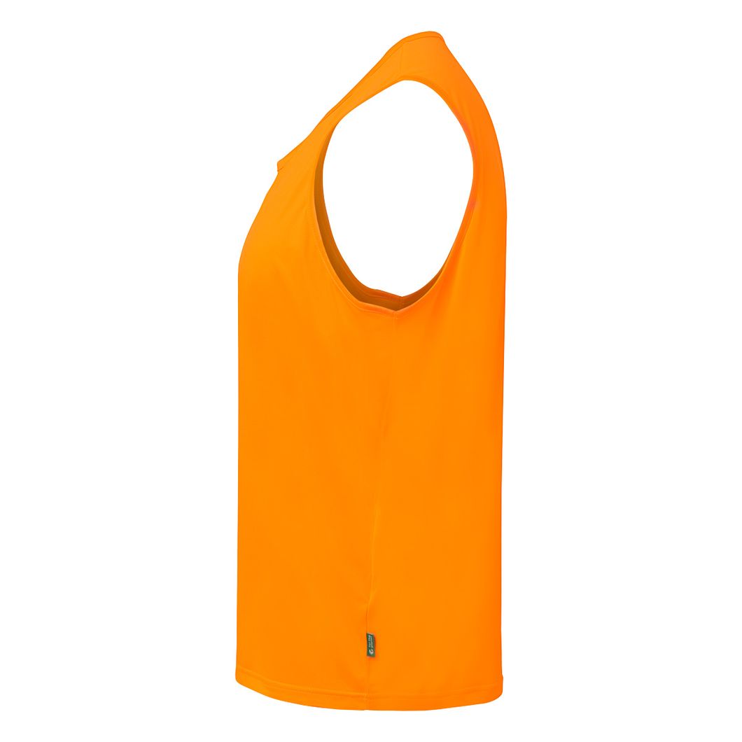 Training BiB