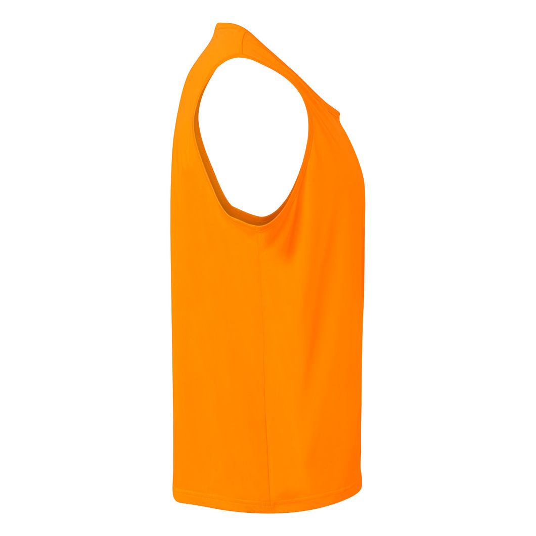 Training BiB