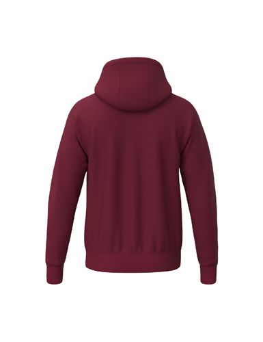 TS Hoody