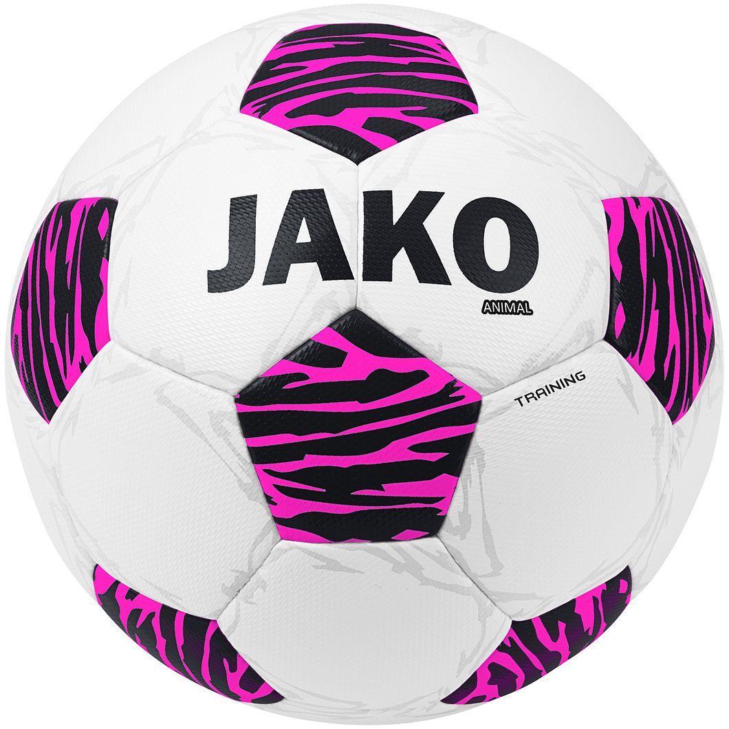 Animal Trainingsball