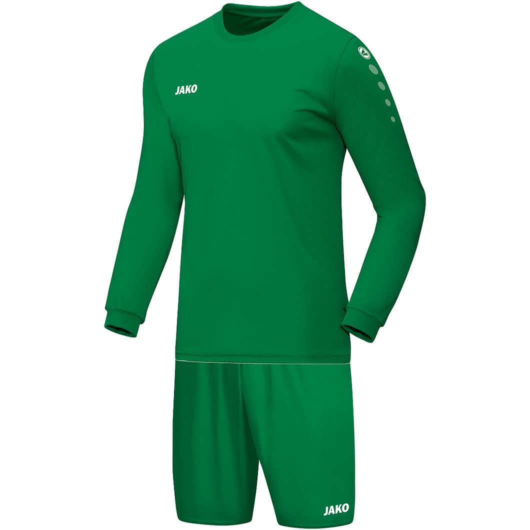 Team Langarmtrikot