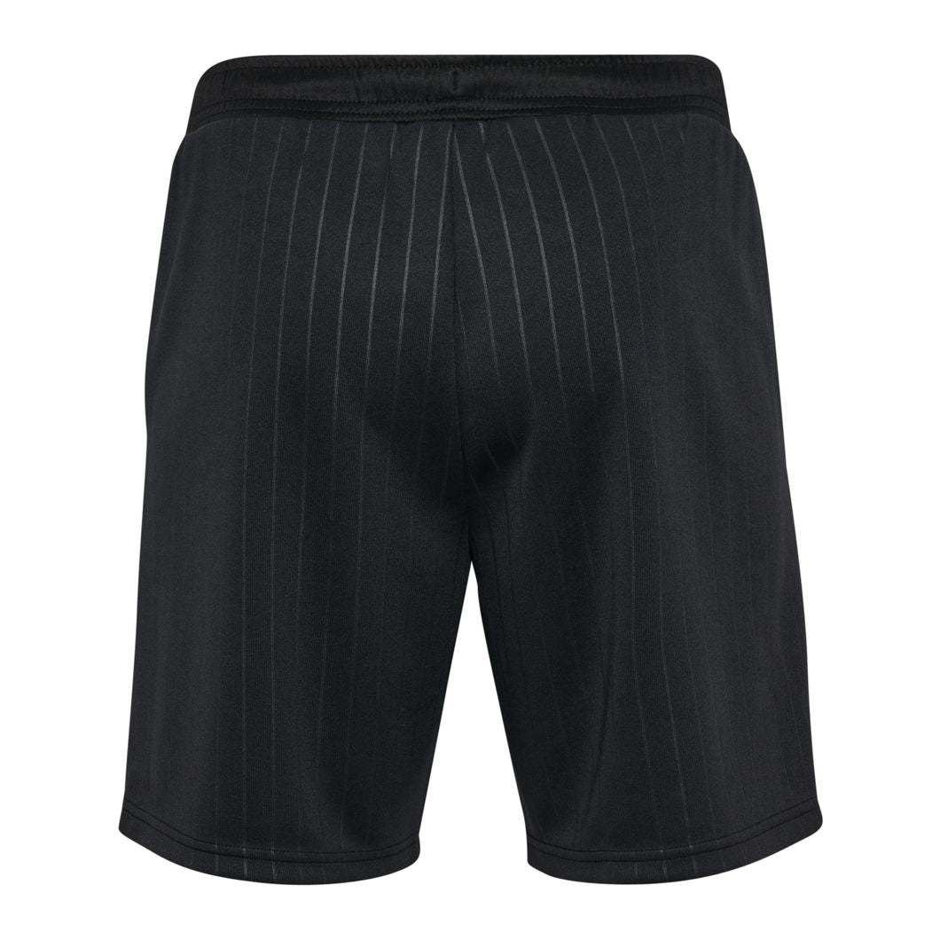 STRIPE Shorts
