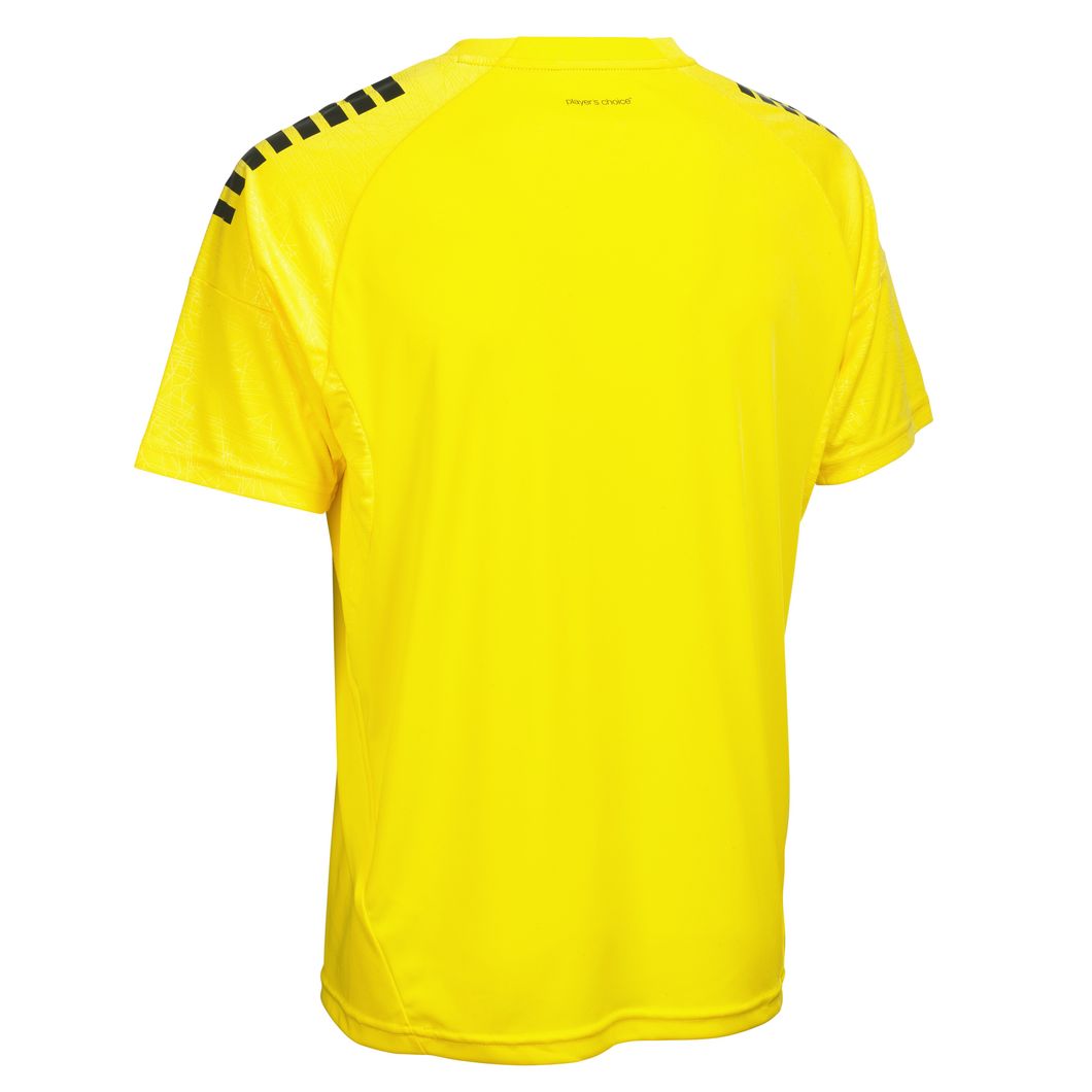 Trikot Kurzarm Spain v25