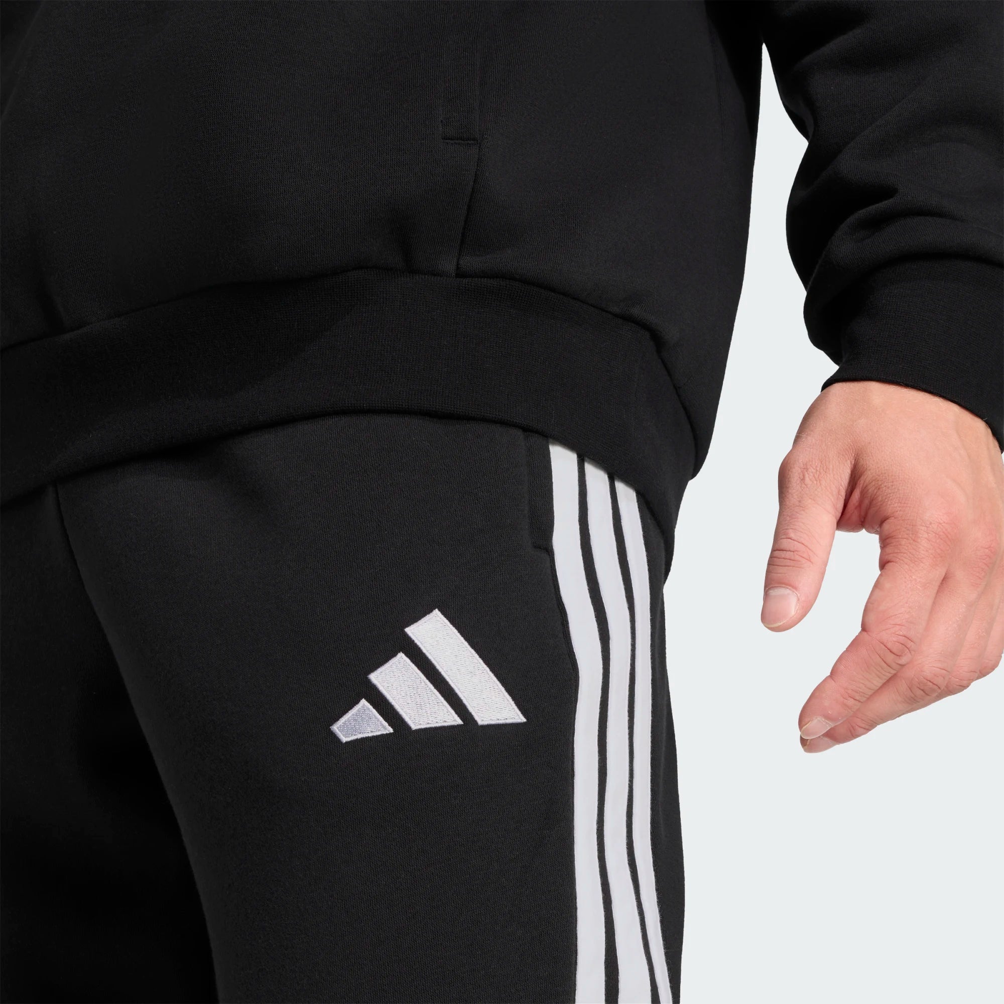 TuS Maikammer Adidas Tiro26 League Sweat Pants
