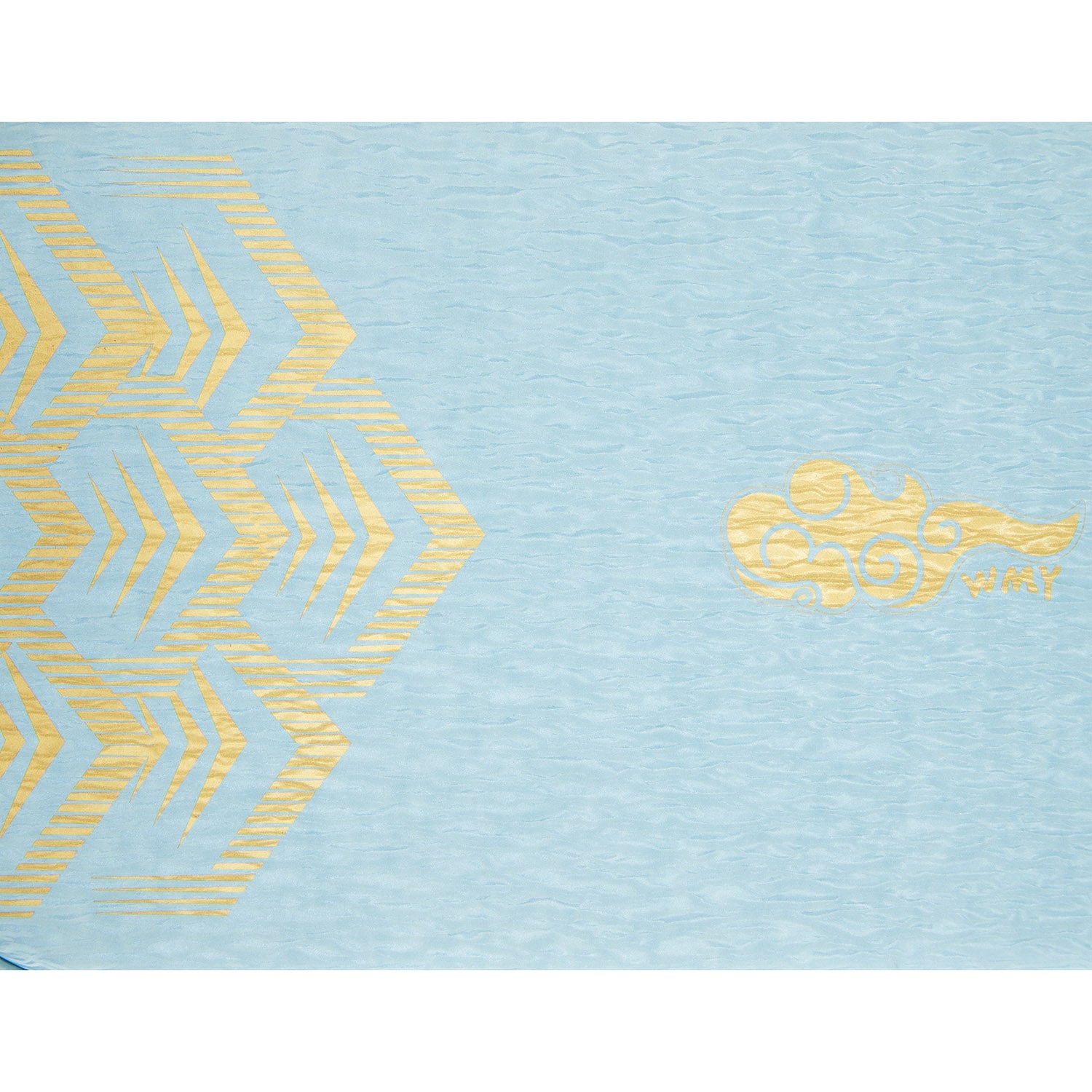 Tischtennis Wang Manyu Schlägerhülle National Team 2025 hellblau - ABJU033-3