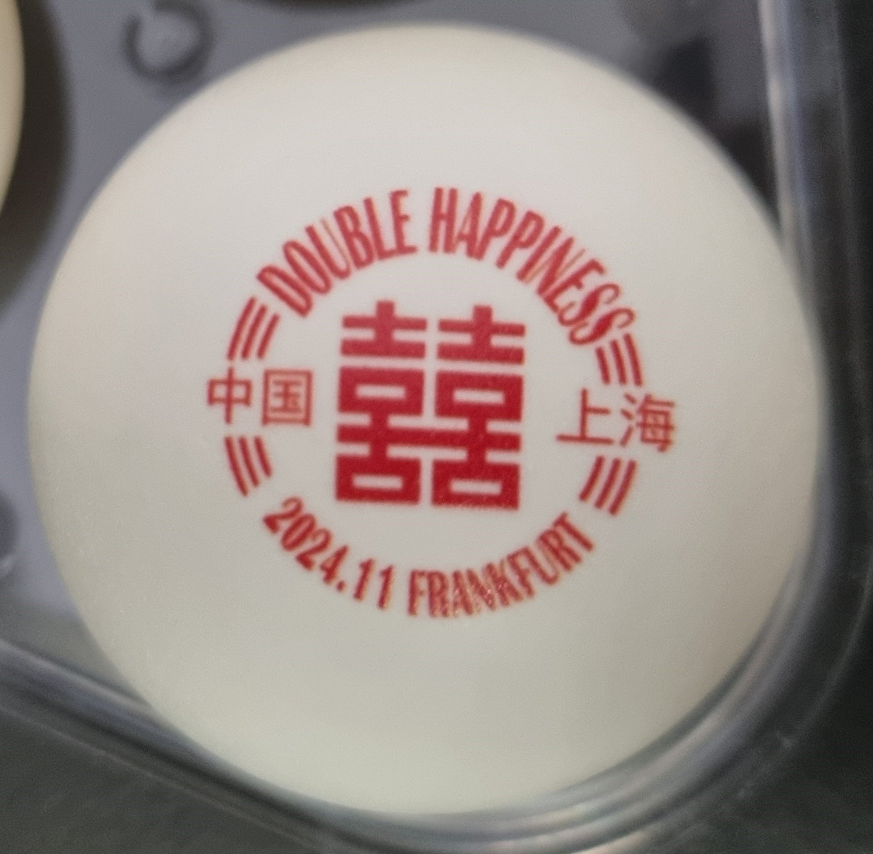 DHS Tischtennis Hülle/-Tasche für 3 Bälle inkl. 3 Bälle Wang C. Portrait - DXGP011-1