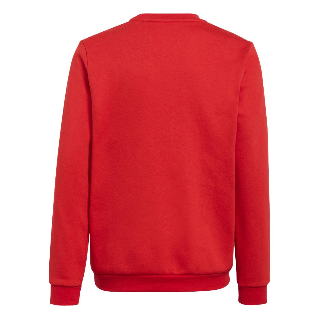 Entrada 22 Sweatshirt Kids