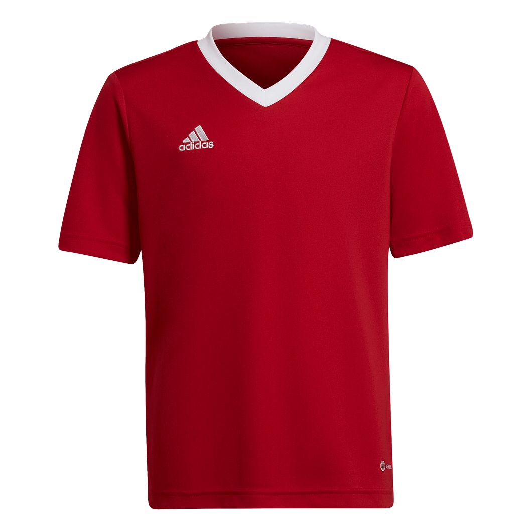 Entrada 22 Trikot Kids