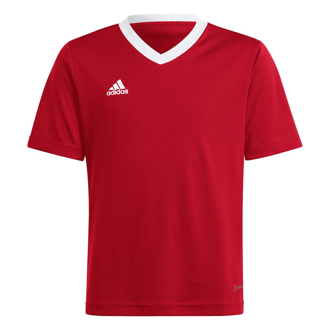 Entrada 22 Trikot Kids