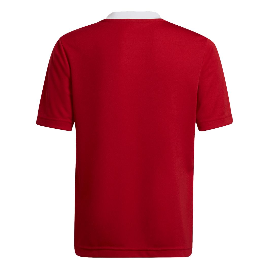 Entrada 22 Trikot Kids