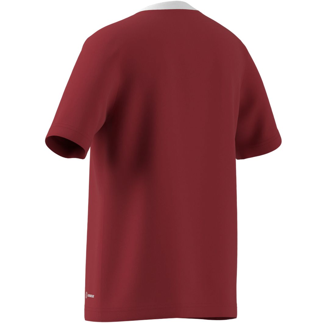 Entrada 22 Trikot Kids