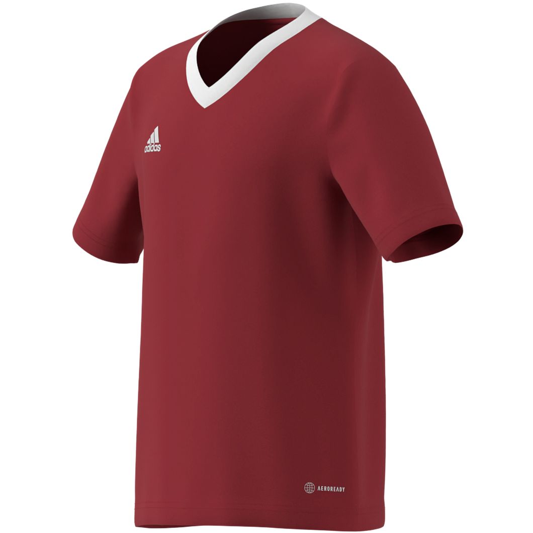 Entrada 22 Trikot Kids