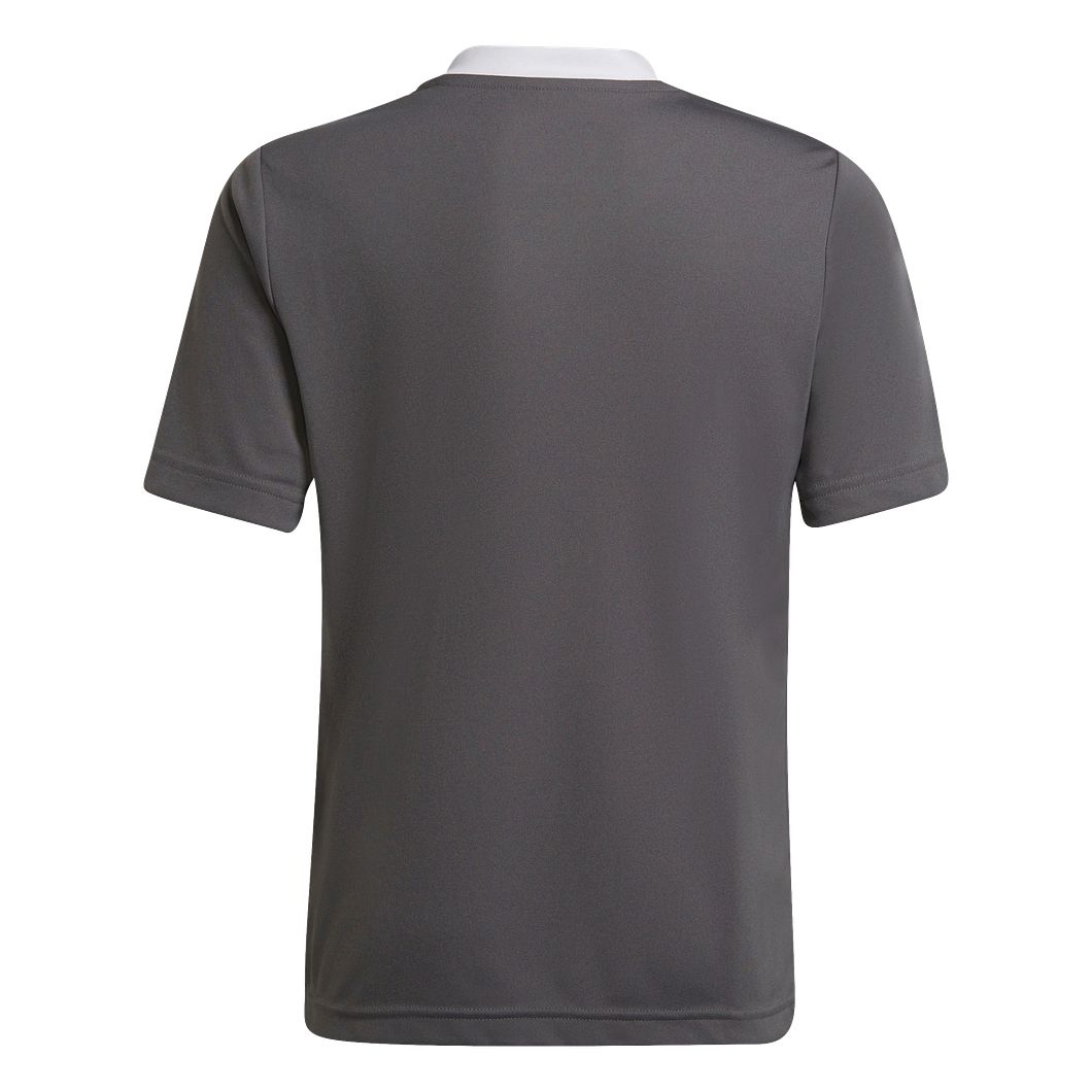 Entrada 22 Trikot Kids
