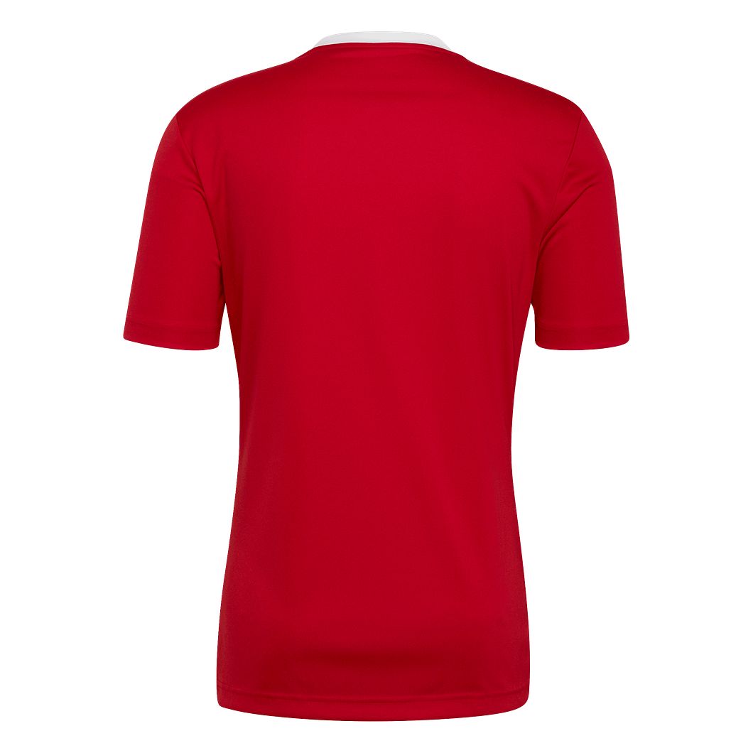 Entrada 22 Trikot
