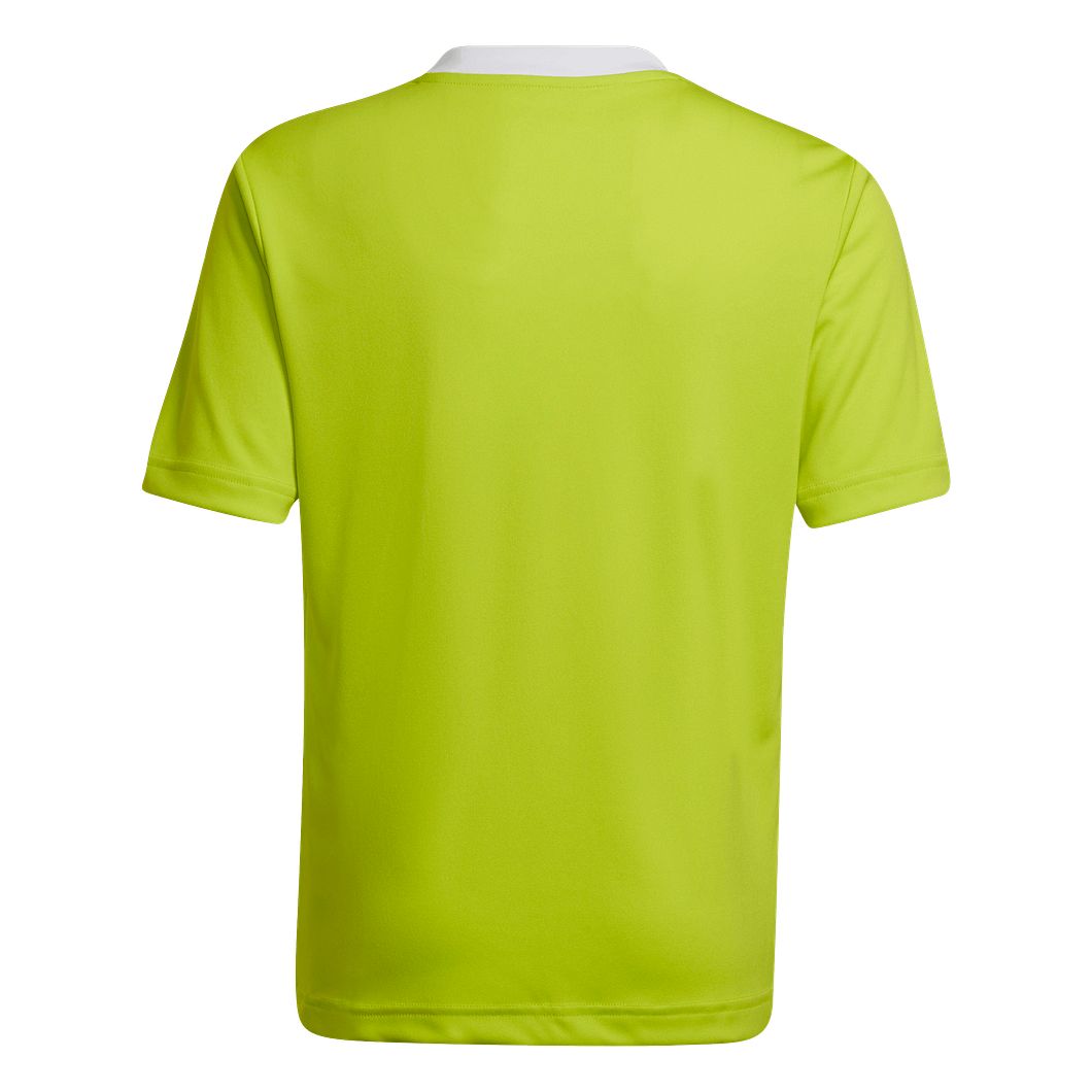 Entrada 22 Trikot Kids