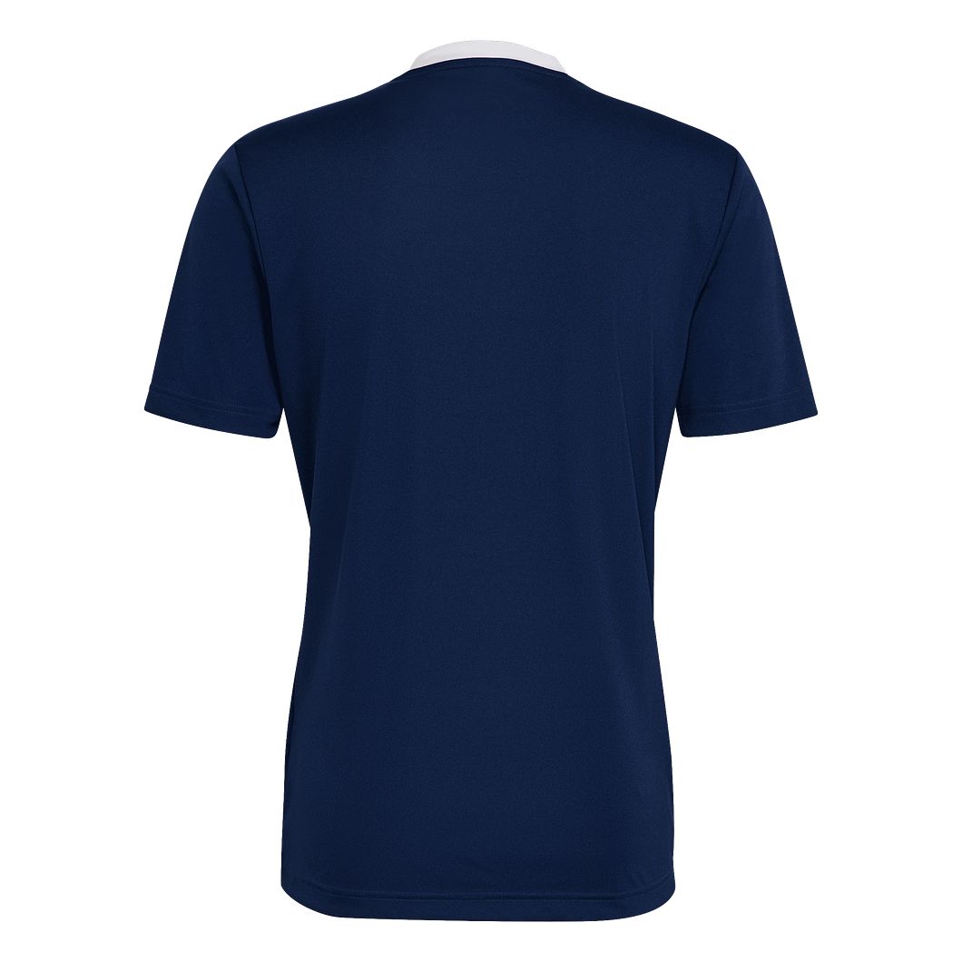 Entrada 22 Trikot