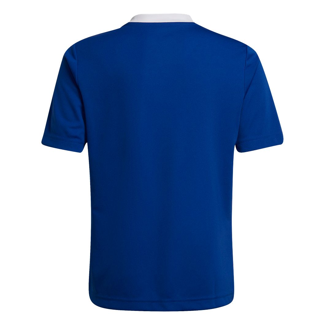 Entrada 22 Trikot Kids