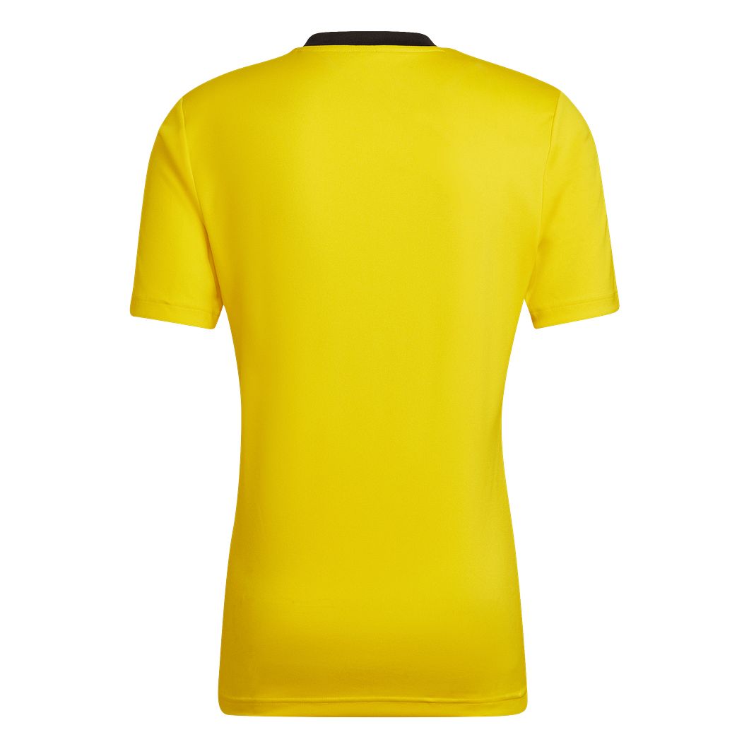Entrada 22 Trikot
