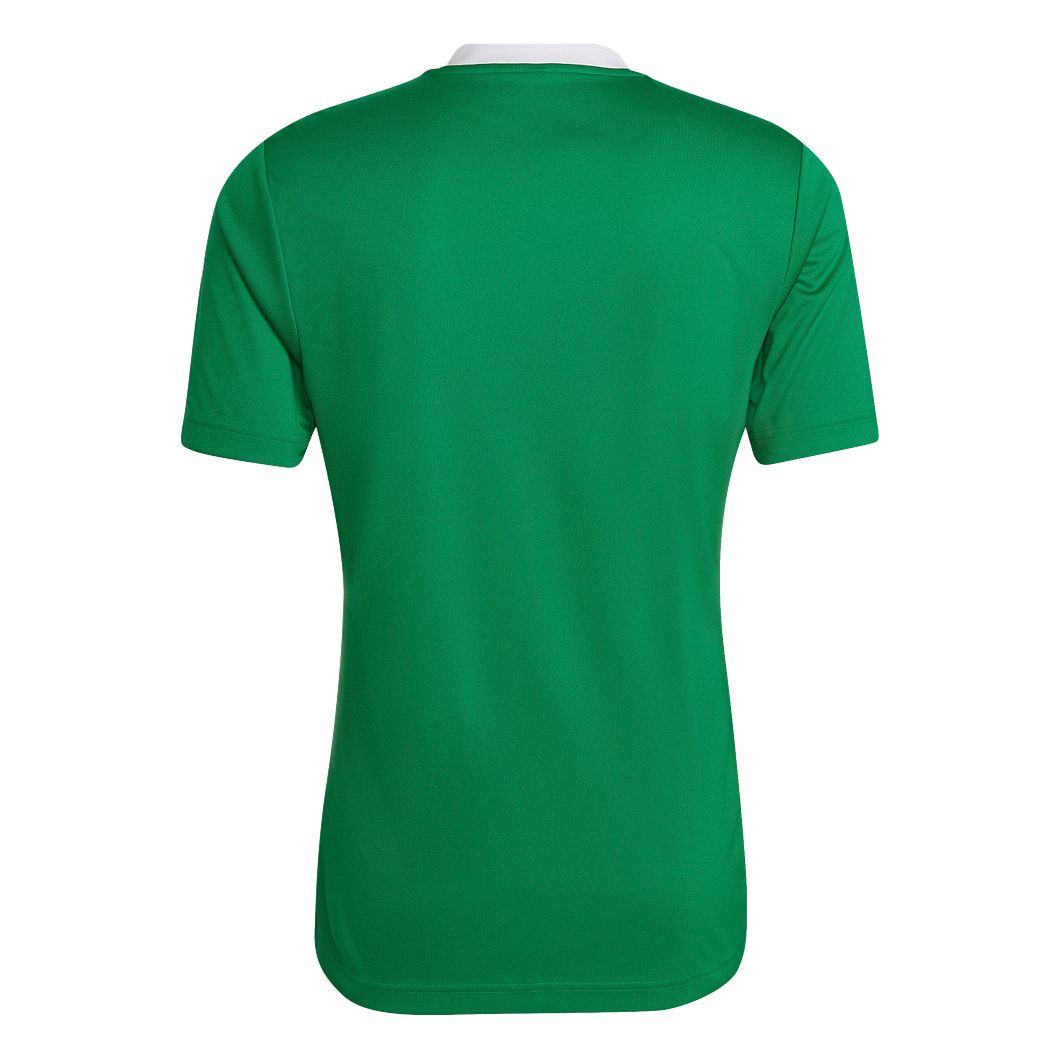 Entrada 22 Trikot