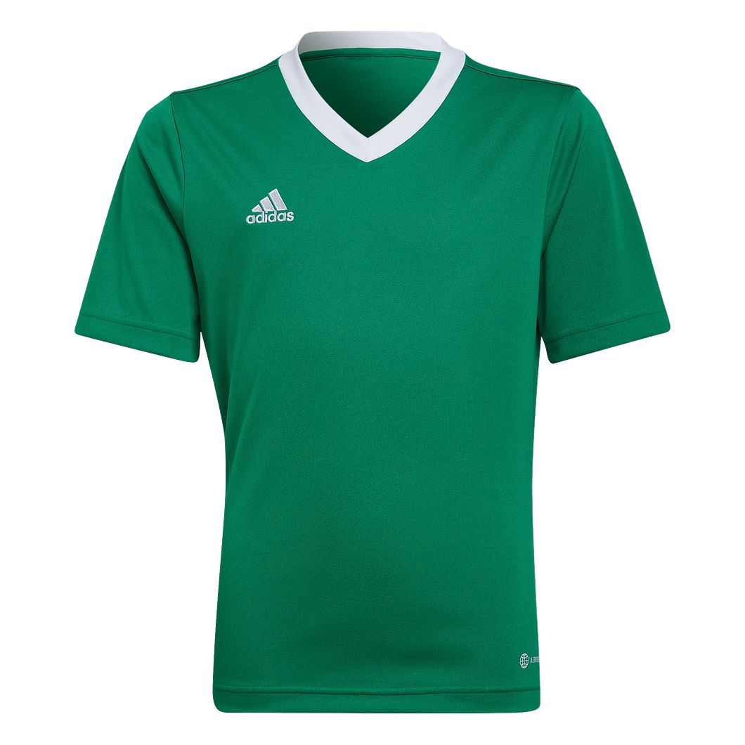 Entrada 22 Trikot Kids