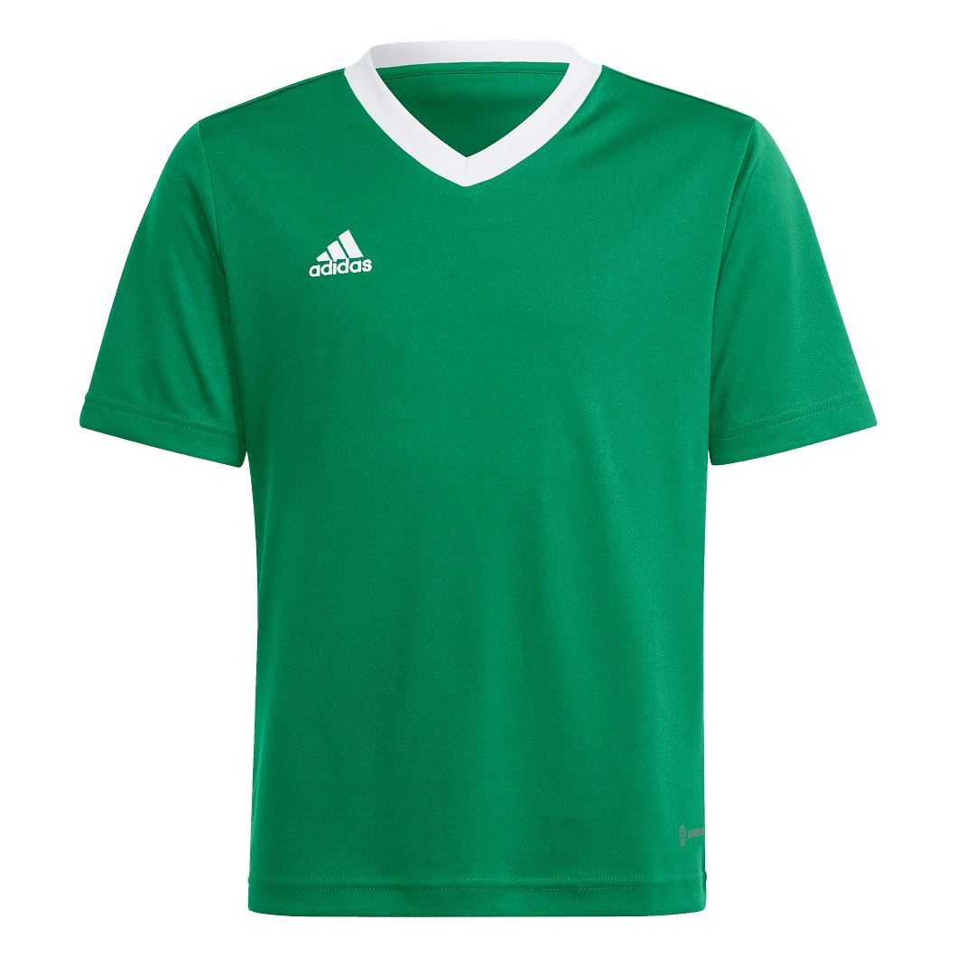 Entrada 22 Trikot Kids