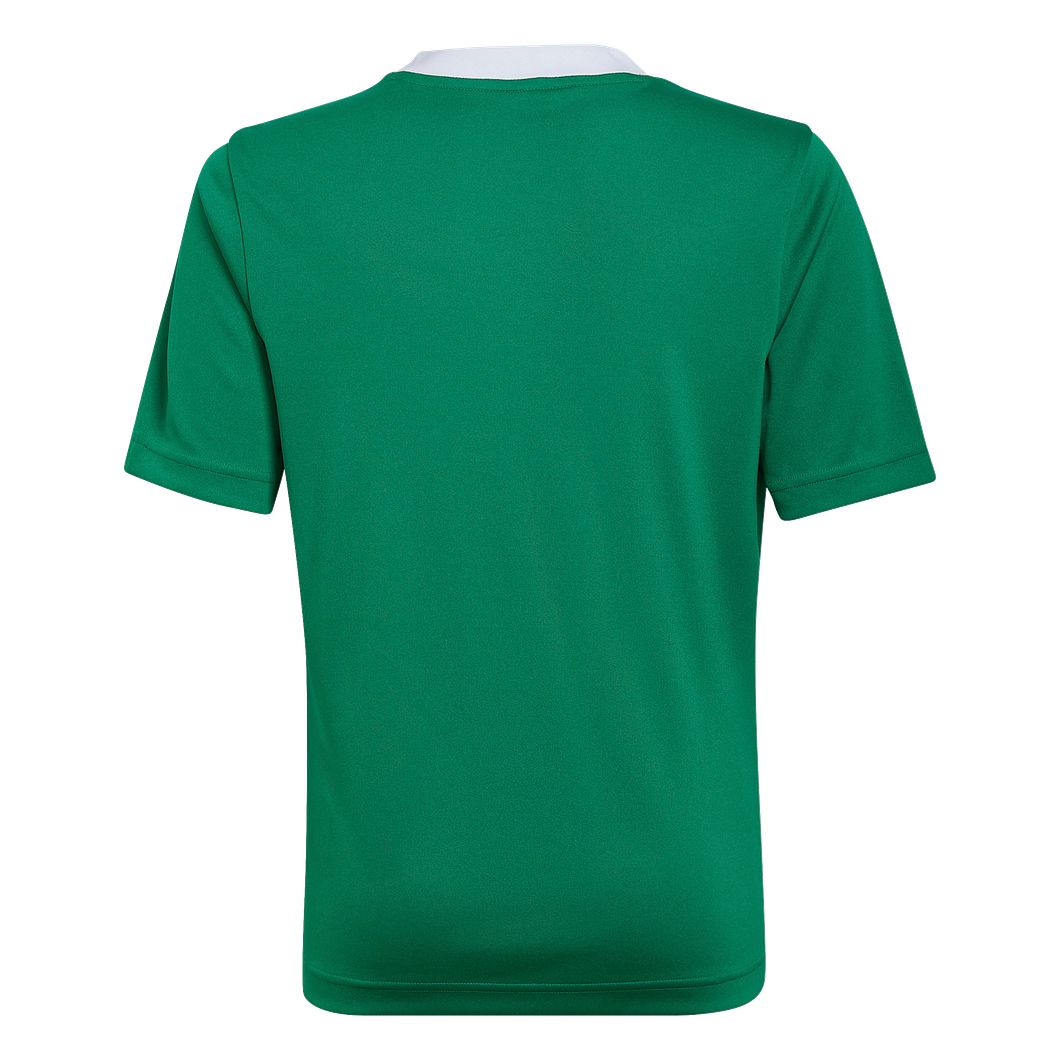 Entrada 22 Trikot Kids