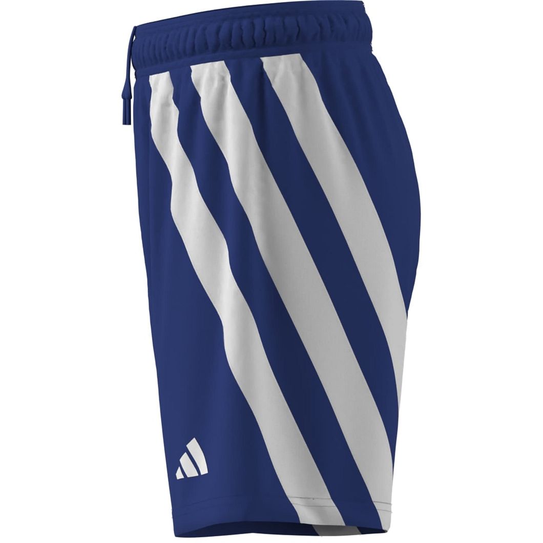 Fortore 23 Shorts