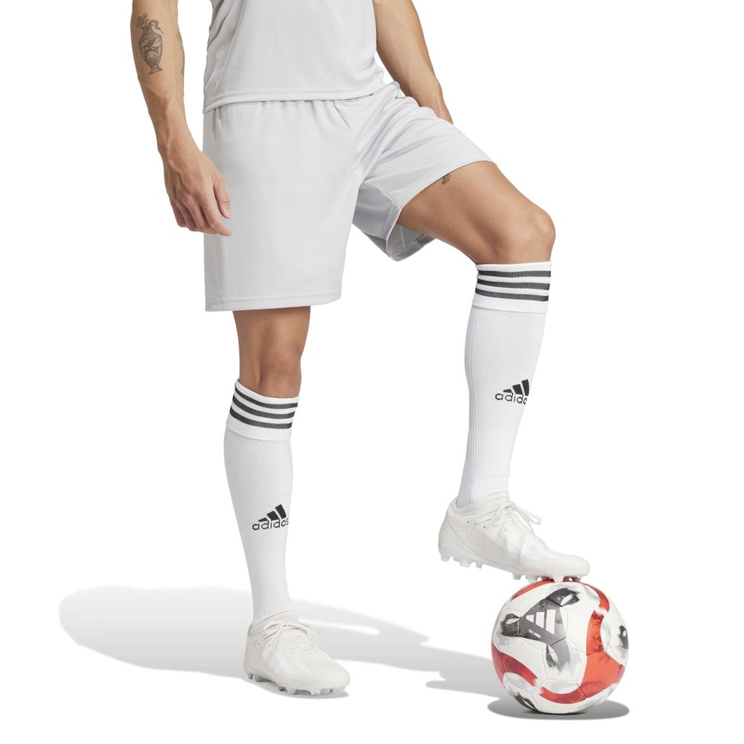 Fortore 23 Shorts