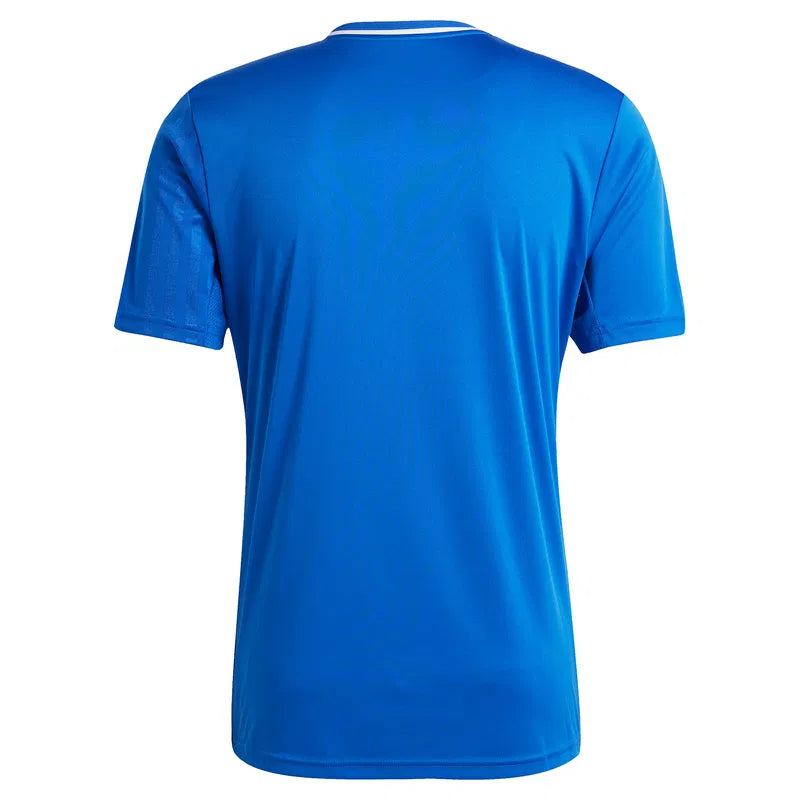 Campeon 25 Trikot Kids