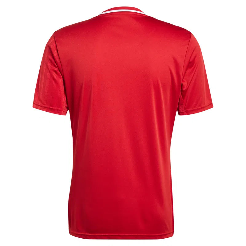 Campeon 25 Trikot Kids