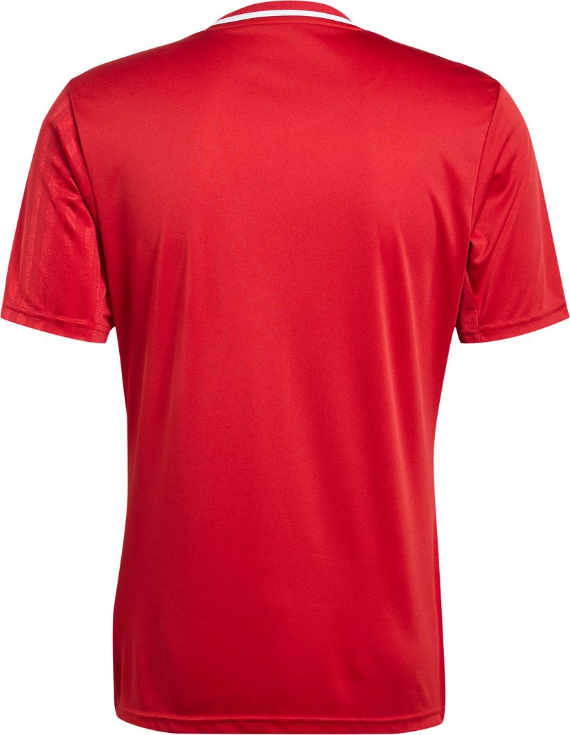 Campeon 25 Trikot kurzärmlig