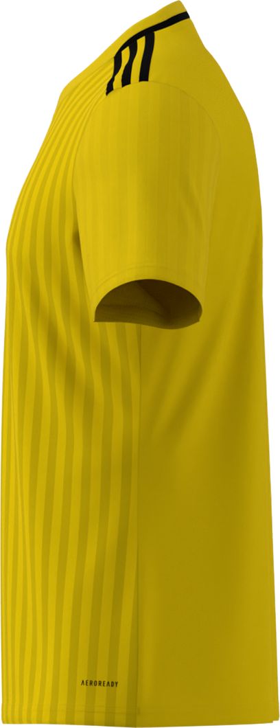 Campeon 25 Trikot kurzärmlig