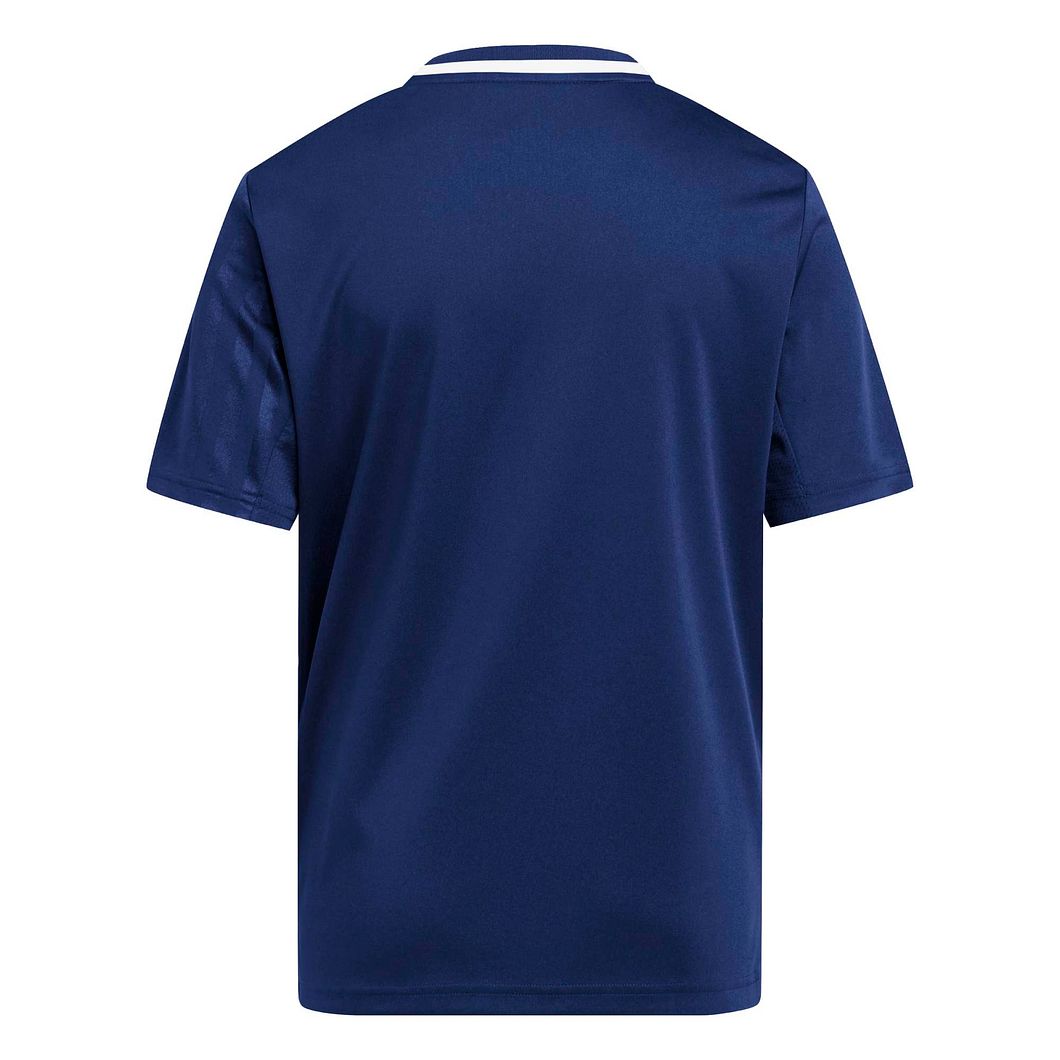 Campeon 25 Trikot Kids
