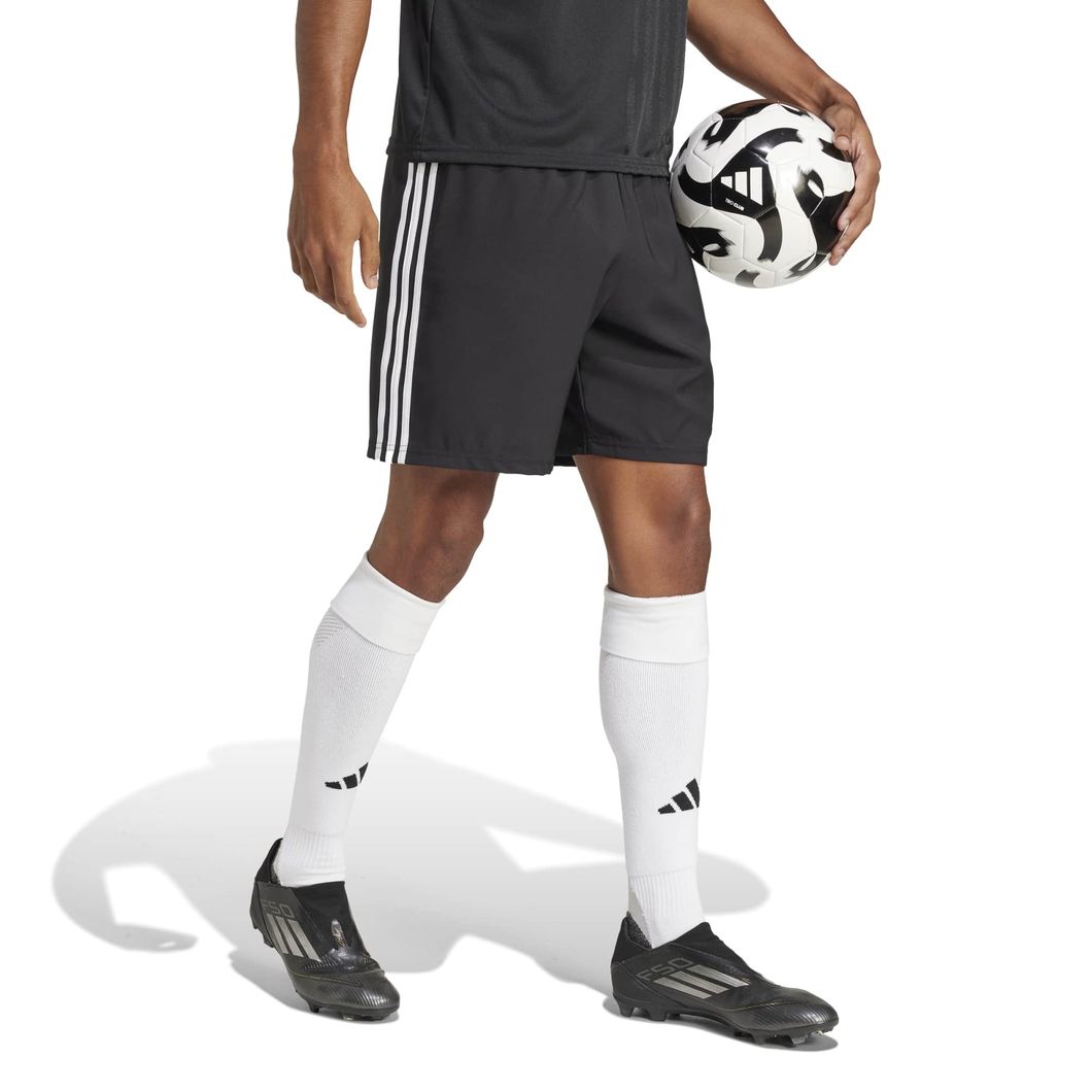 Tastigo 25 Shorts