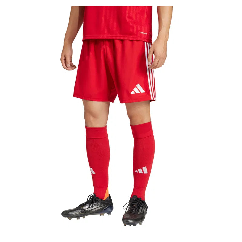 Tastigo 25 Shorts