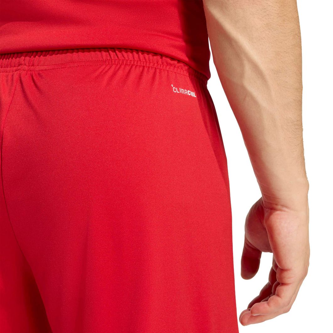 Entrada26 Shorts
