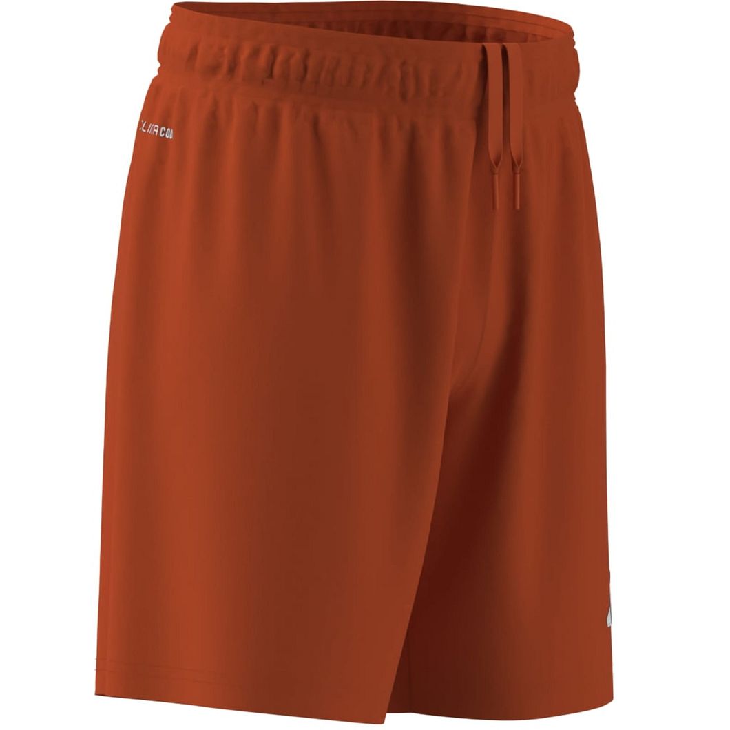 Entrada26 Shorts