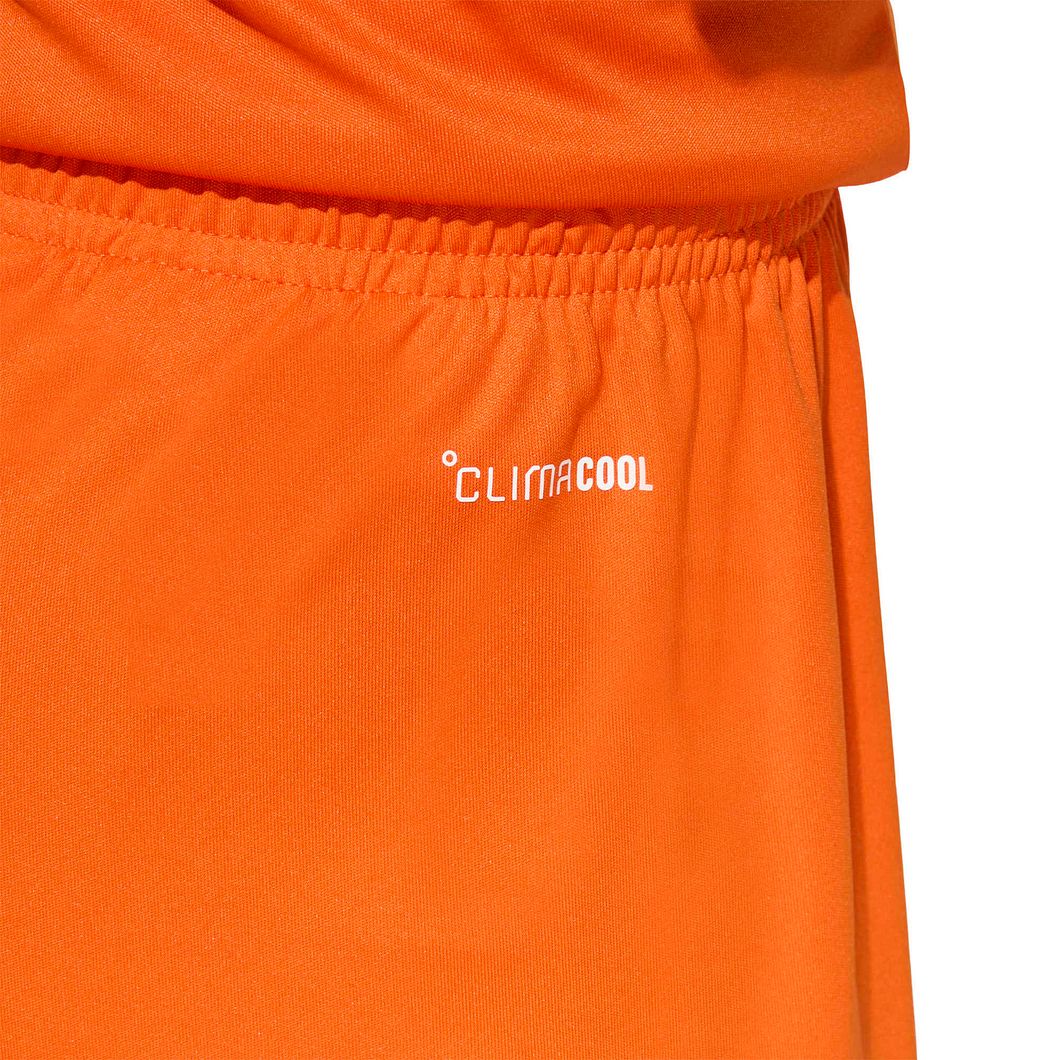 Entrada26 Shorts