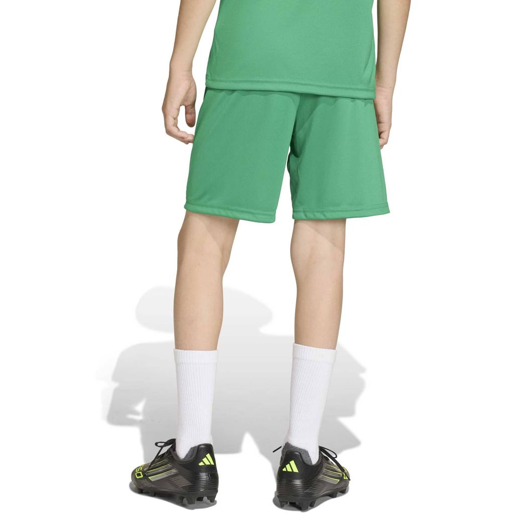 Entrada26 Shorts