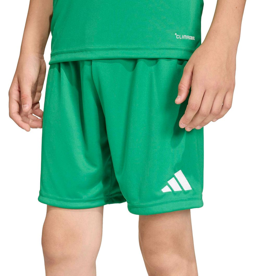 Entrada26 Shorts