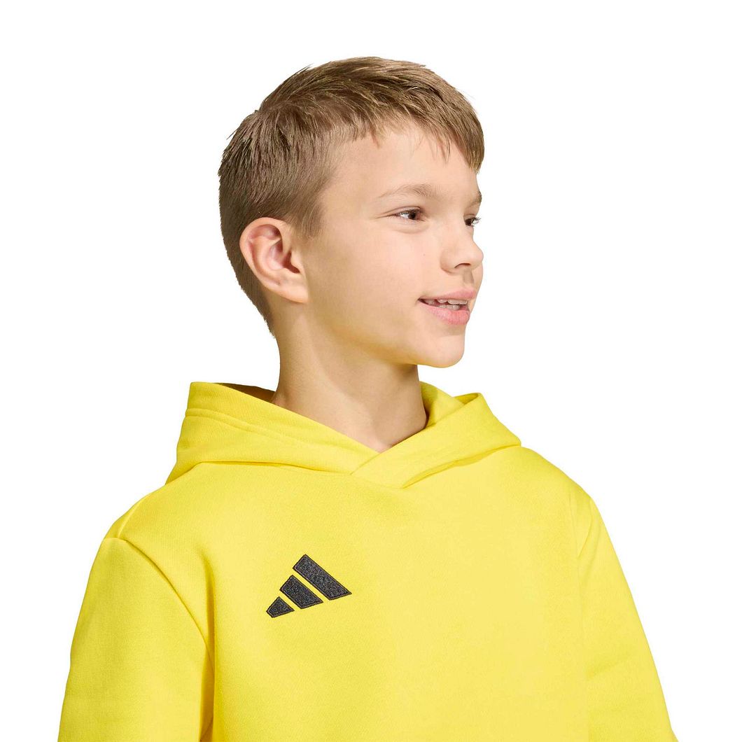 Entrada26 Hoodie