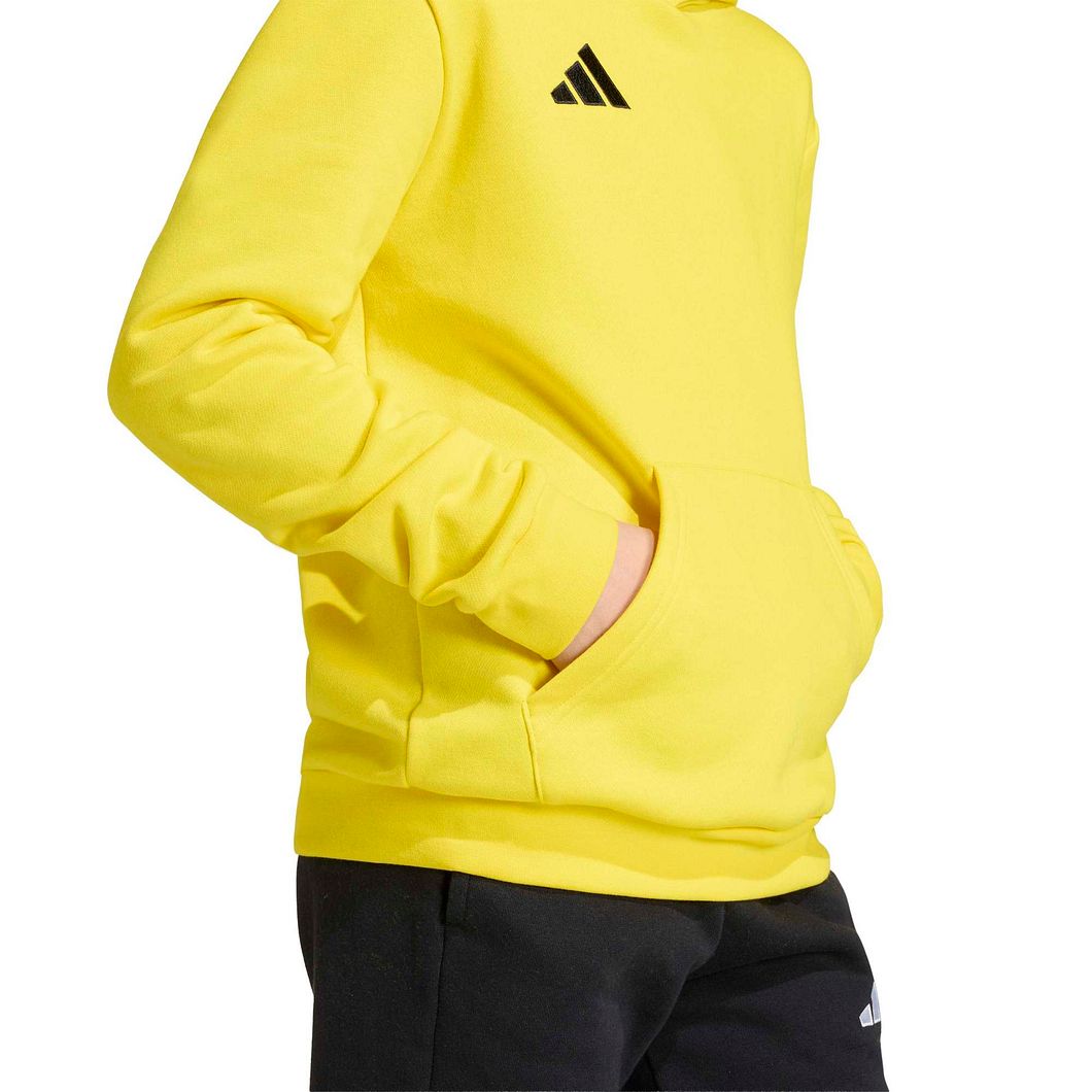Entrada26 Hoodie