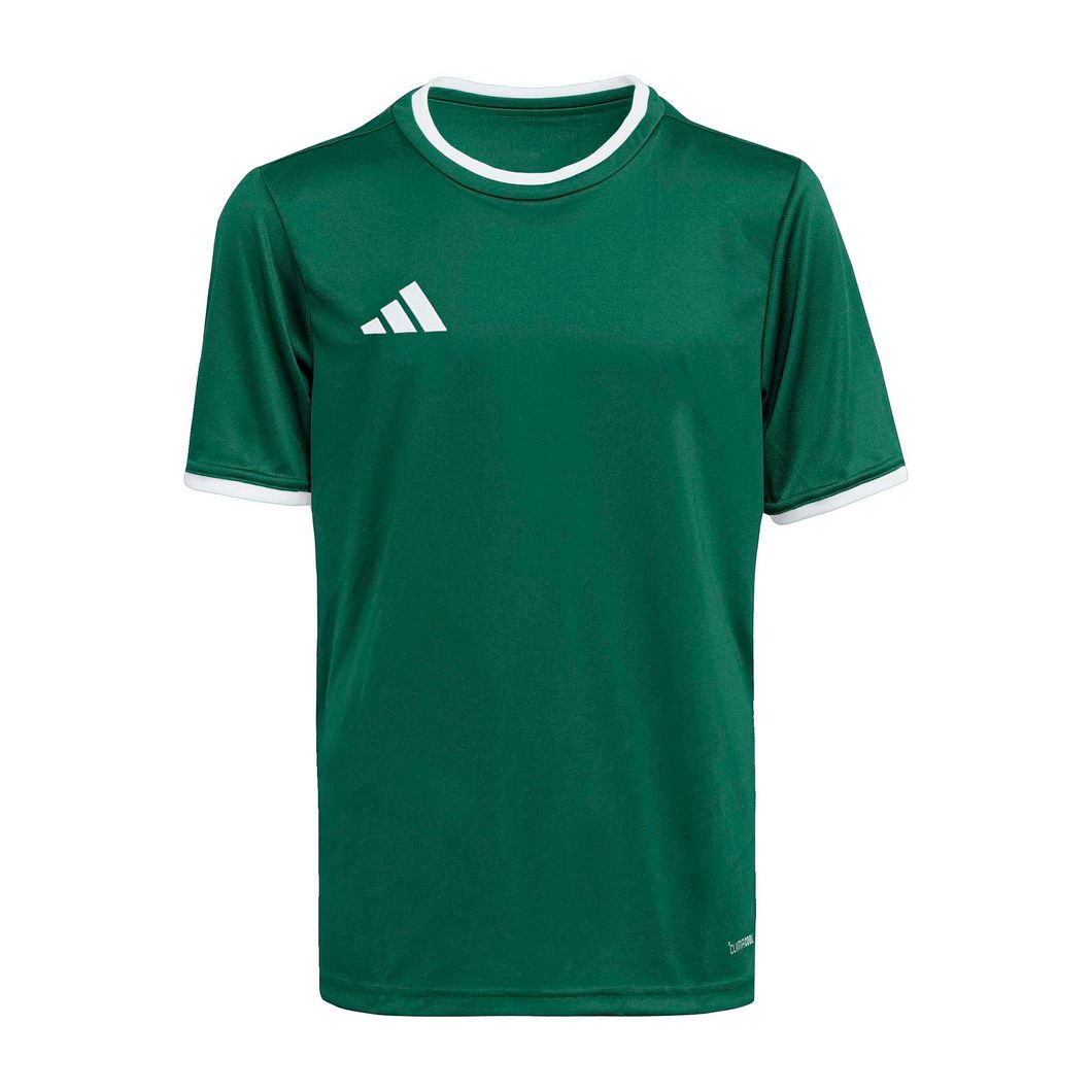 Entrada26 Trikot Kinder