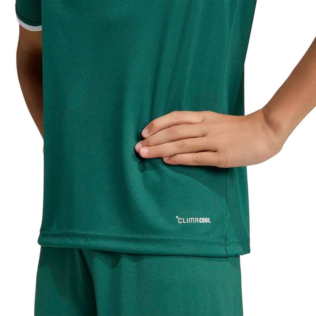 Entrada26 Trikot Kinder
