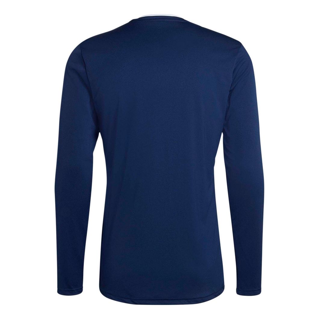 Entrada 22 Langarmtrikot