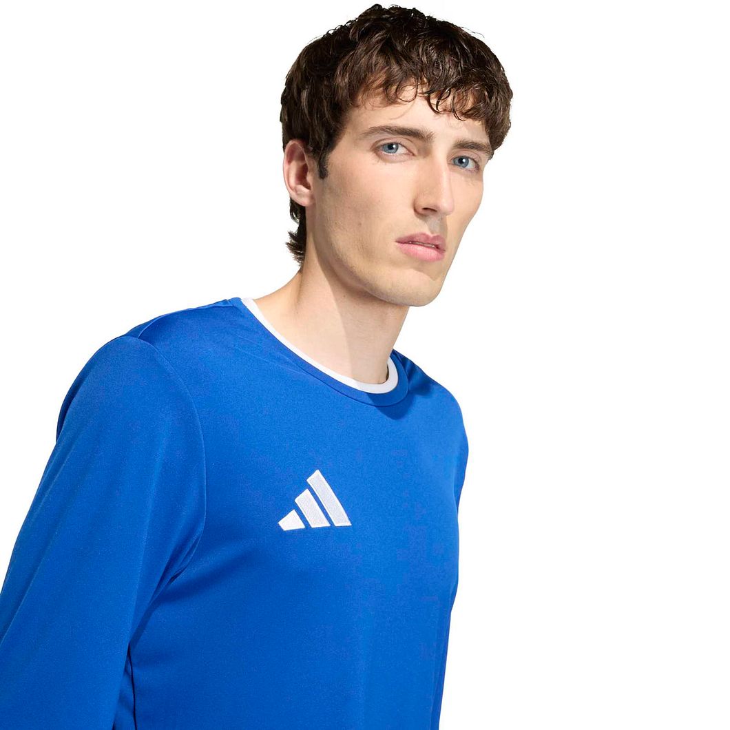 Entrada 22 Langarmtrikot