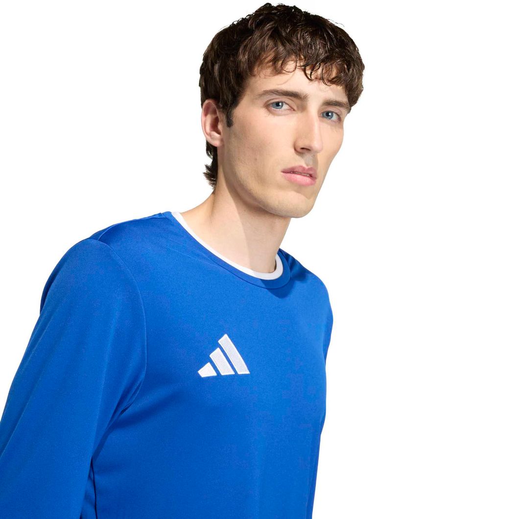 Entrada 22 Langarmtrikot