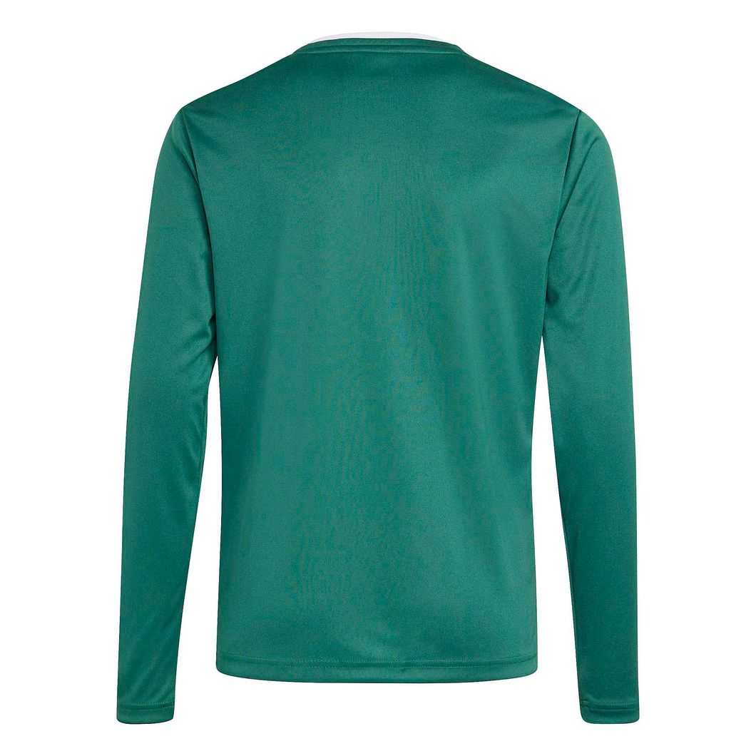 Entrada26 Longsleeve Trikot Jugend