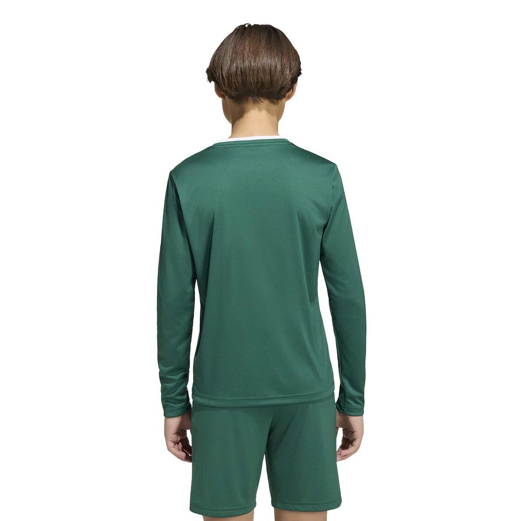 Entrada26 Longsleeve Trikot Jugend